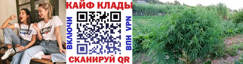  Кокаин Макушино