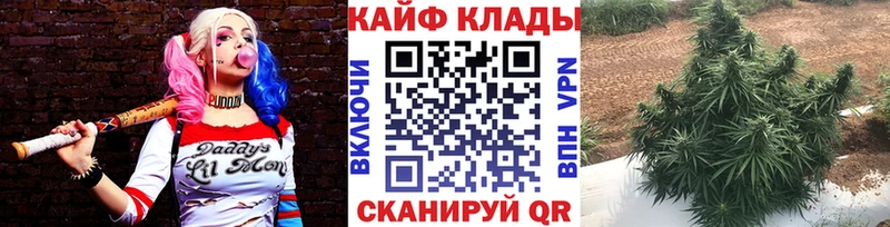 Где можно купить наркотики Макушино Гашиш  А ПВП  КОКАИН  Мефедрон  Каннабис 